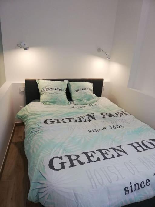 Bel Appartement Coeur De Grenoble Tout Equipe Zewnętrze zdjęcie