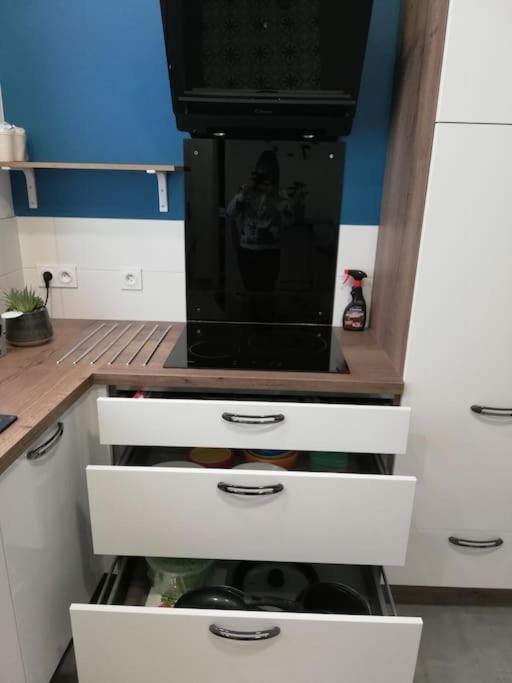 Bel Appartement Coeur De Grenoble Tout Equipe Zewnętrze zdjęcie