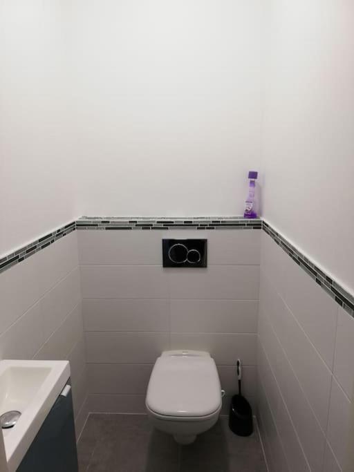 Bel Appartement Coeur De Grenoble Tout Equipe Zewnętrze zdjęcie